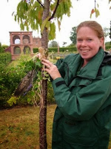 Elizabethan Magic Protects Kenilworth Gardens