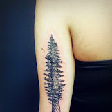 Tree Tattoos Upper Arm