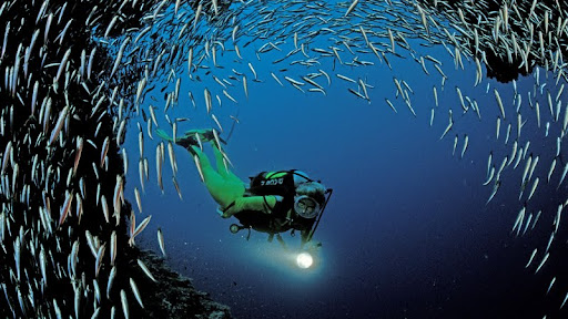 Scuba Diving Near Ari Atoll, Indian Ocean.jpg