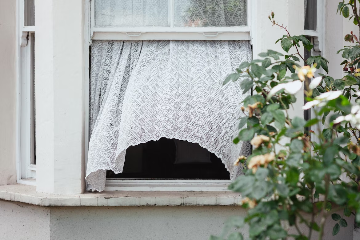 Open window with a curtain and shrub outside