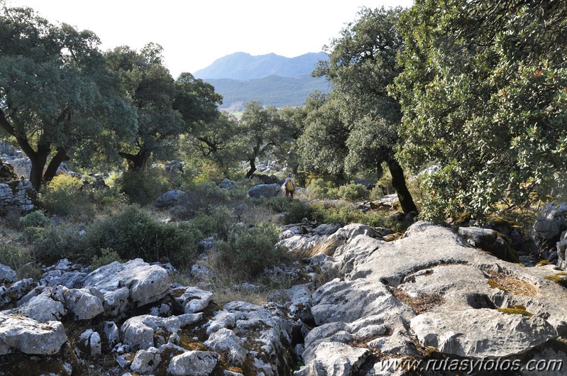 Subida al Mojon Alto