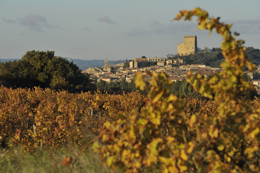 Domaine du Clos-Montolivet
