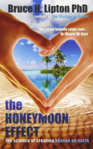 Review The Honeymoon Effect Heaven On Earth