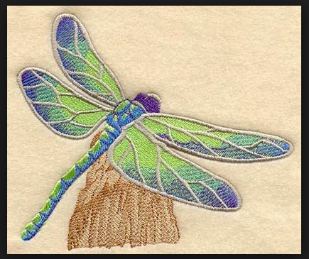 Dragonfly Tattoos