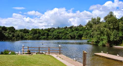 Newton Abbot Country Park