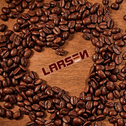LARSEN - Struer logo