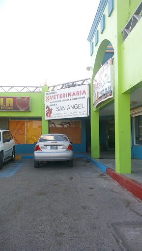 VETERINARIA SAN ANGEL, Calle Río San Ángel & Av de la Cerámica, Valle de Puebla, 21395 Mexicali, B.C., México, Veterinario | BC