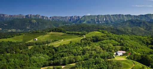 Aquila Del Torre Srl