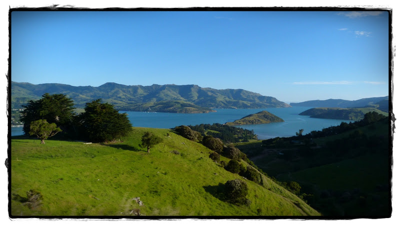 Te Wai Pounamu, verde y azul (Nueva Zelanda isla Sur) - Blogs de Nueva Zelanda - Christchurch y Akaroa (10)