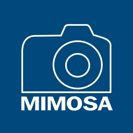 Mimosa Foto logo