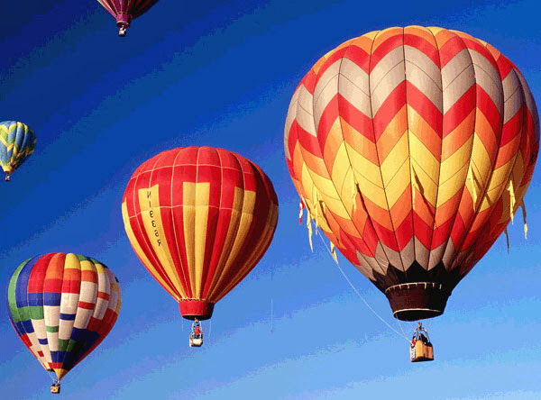 Festive Colors, Cardiff, California