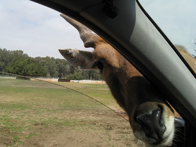 Израиль ранней весной.