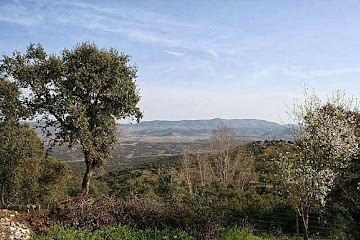 Imagen 10 de Cazalla de la Sierra