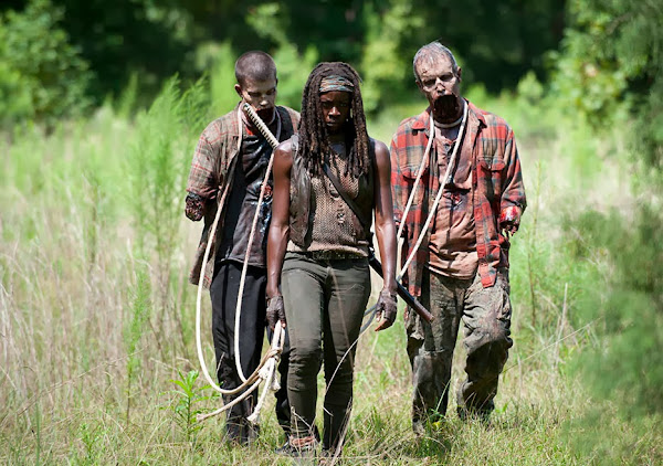 The Walking Dead, season 4 episode 9, Michonne with two new walker pets