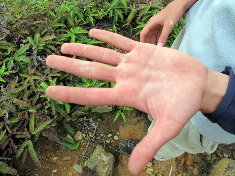 Суматра. Мой первый вулкан.