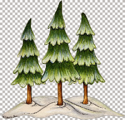 h@nne_trees.jpg
