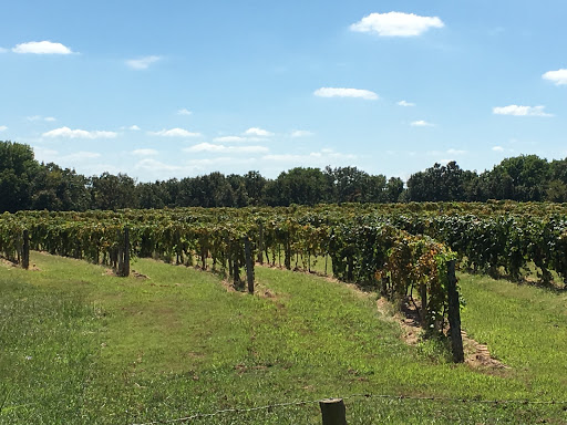 Winery «Post Familie Vineyards», reviews and photos, 1700 St Marys Mountain Rd, Altus, AR 72821, USA