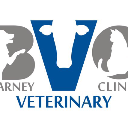 Blarney Veterinary Clinic logo