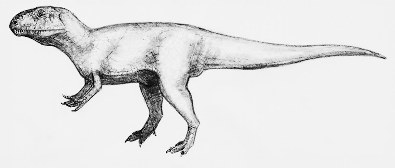 Große Theropoden - Seite 3 Tyrannotitan_chubutensis