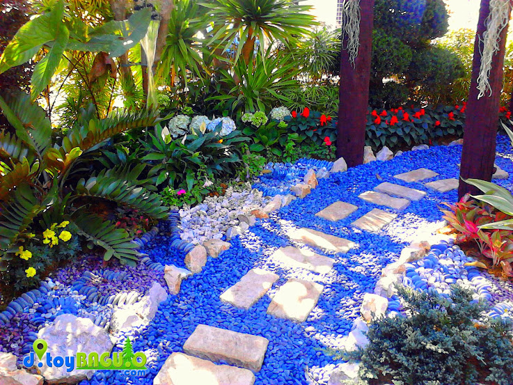 2013 Panagbenga Flower Festival Landscaping picture 22