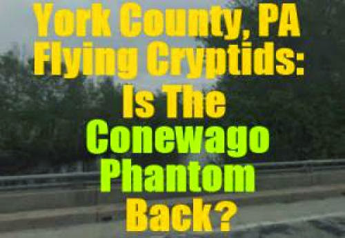 York County Pa Flying Cryptids Is The Conewago Phantom Back