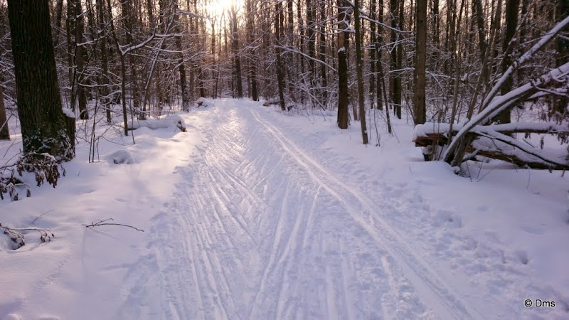DSC_0009.JPG