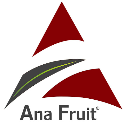 ANA FRUIT logo