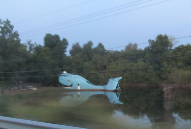 На дороге 