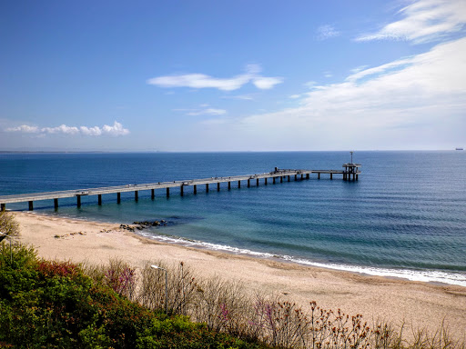 The Sea Garden
