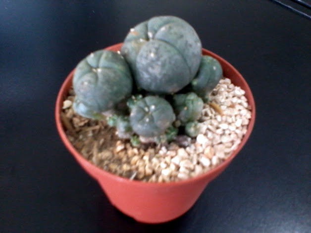 2011-12-02+12.52.30.jpg