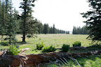 Paseo del Lobo on the Mt. Baldy Crossover trail, Section 6: July 13, 2012 (Photo by D. Sayre)