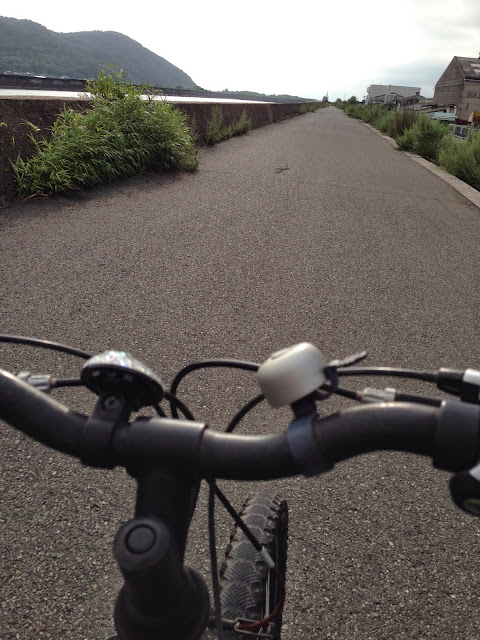 左が竹馬川右は工場団地