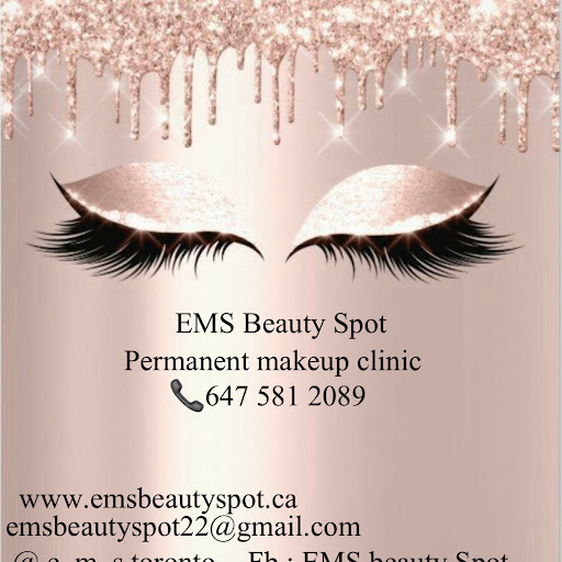 EMS Beauty Spot & Skinfulness Medi Spa -Permanent makeup clinic/ micro blading training the best in Toronto