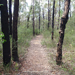 Track to Red Hands Cave car park (145524)
