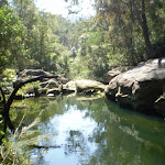 Waitara Creek (6196)