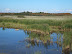 Minsmere - looking towards Coney Hill and the Coastguard Cottages