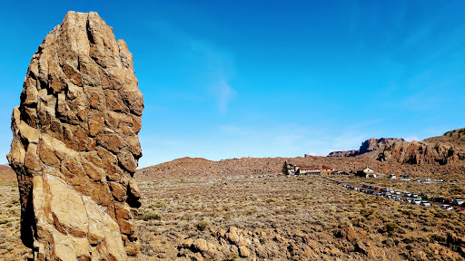 Roque Cinchado