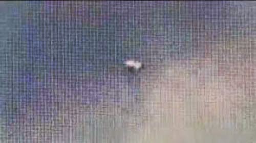 Ufos Over Denver Not Bugs Says Insect Expert Update