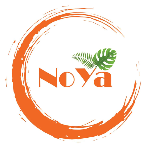 NoYa Holistic Healthcare Clinic logo