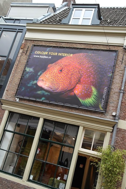  Utrecht pesce