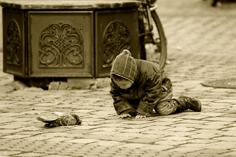 IMAGE: https://lh5.googleusercontent.com/-Ws4SFftyz-E/TuTemHtMwWI/AAAAAAAACjc/RMWcyG8oL7U/s800/IMG_6949_1920.JPG