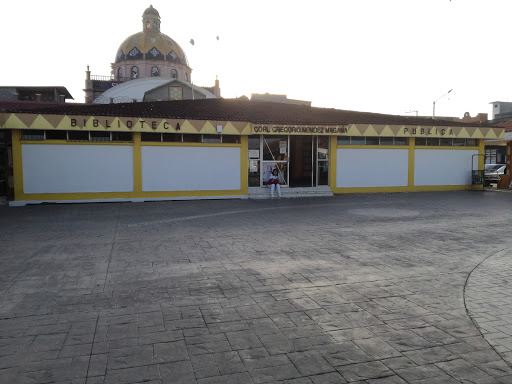 Biblioteca Coronel. Gregorio Mendez Magaña, Calle Primera Constitución, Plaza Hidalgo, 86200 Villahermosa, Tab., México, Biblioteca | TAB