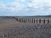 Unearthed defences along the line of the shingle ridge