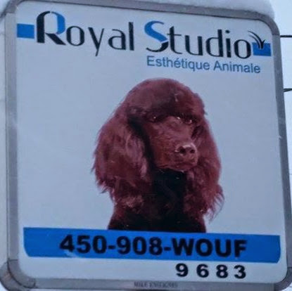 Royal Studio Esthétique Animale logo