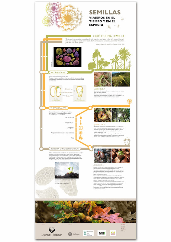 Diseño e ilustraciones de los 4 paneles de la exposición Semillas, viajeros en el tiempo y en el espacio. Cliente UPV/EHU