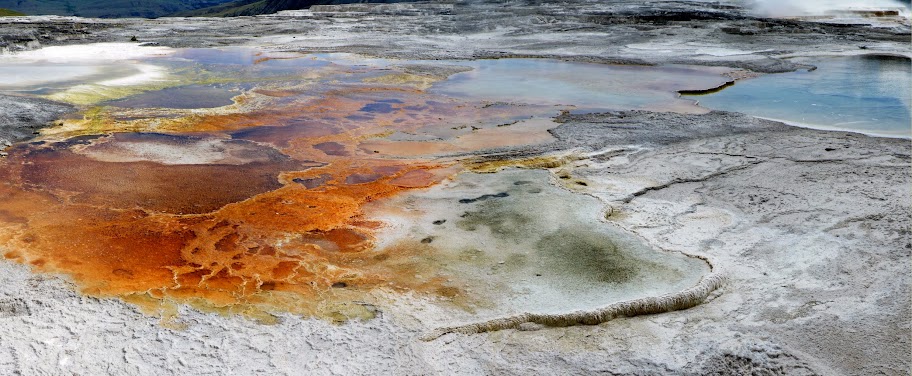 DIA-4. Mammoth Springs, Tower, Lamar, Beartooth Pass y Cody. - Los fascinantes parques del oeste americano. (14)