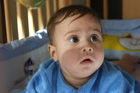 Picasa