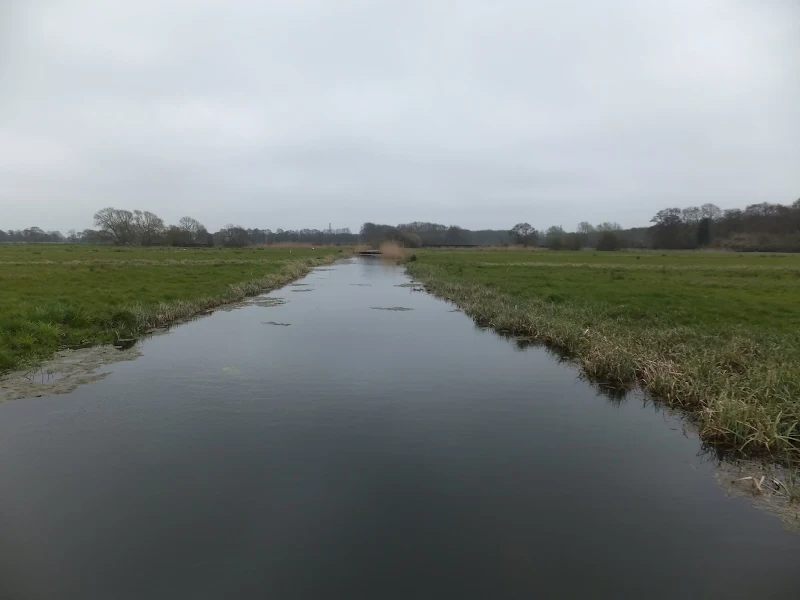Big open skies, flat meadows