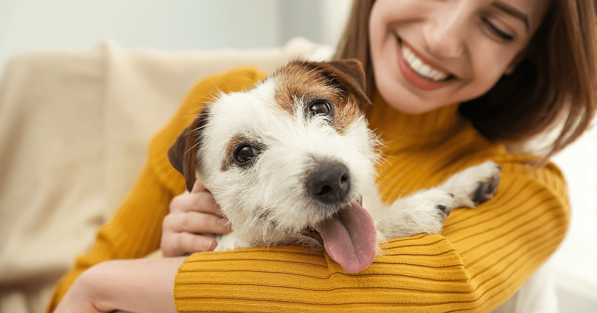 Happy terrier in owners arms