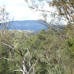 View to the escarpment east of Kiangatha Yards (414653)